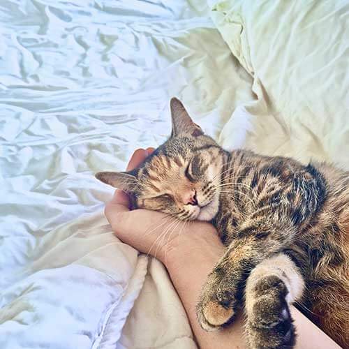 Pain Management Services