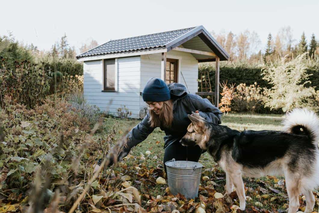 The Hidden Dangers of Fall Yardwork for Pets