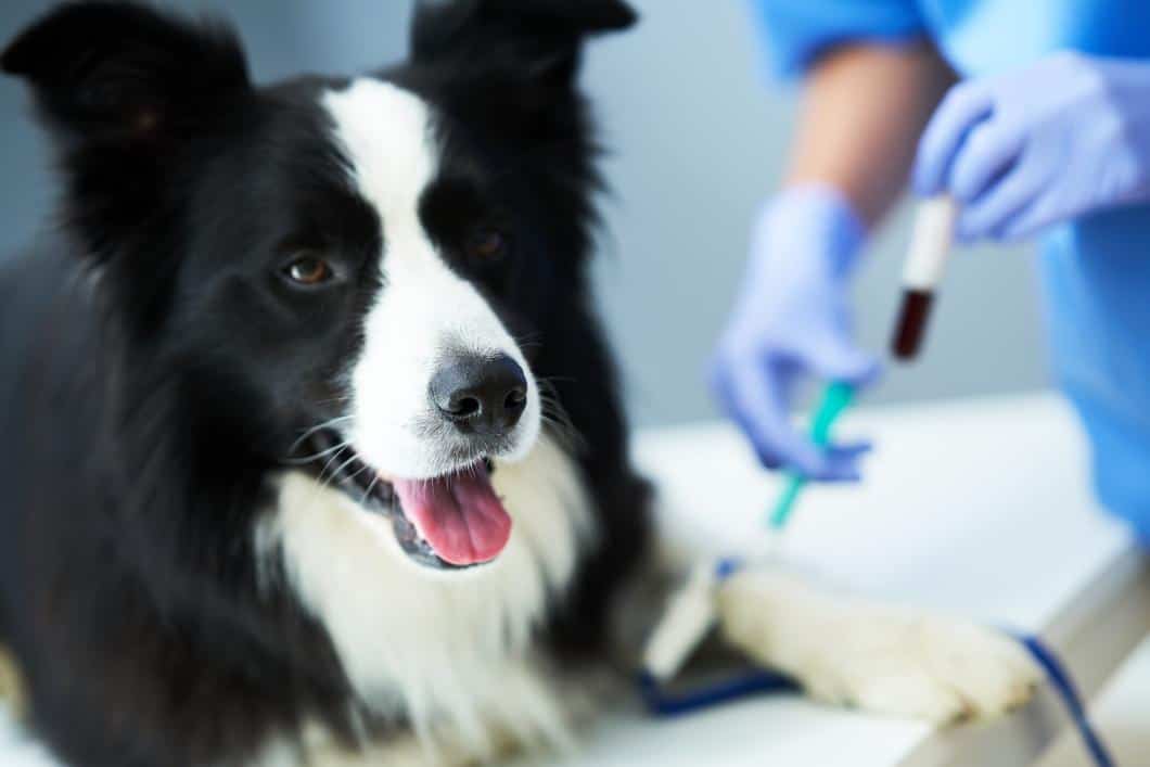 Why Slight Changes in Bloodwork Matter More Than Big Abnormalities Sometimes