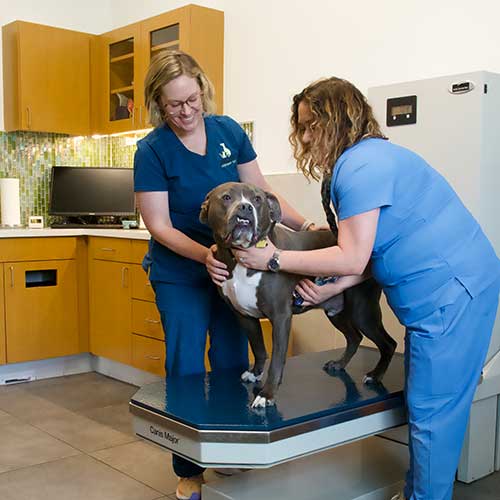 Request an Appointment