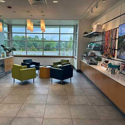 Boarding Consent Form