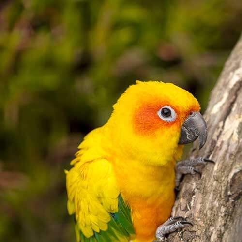 Helpful Links Helpful Links