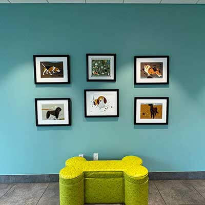 New Client Registration