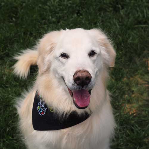 Payment Options Payment Options