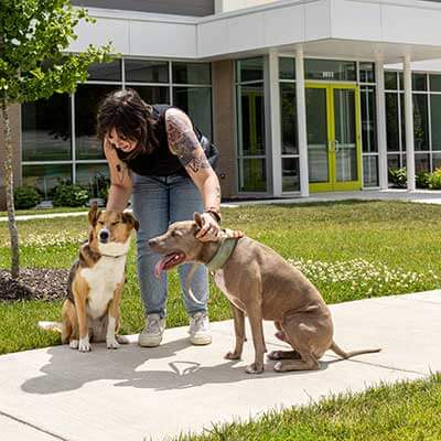 One of our technicians with some canine patients One of our technicians with some canine patients
