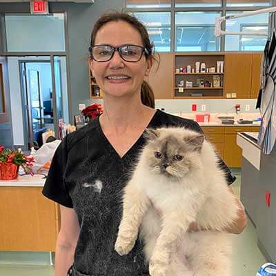 Susan and a feline patient Susan and a feline patient