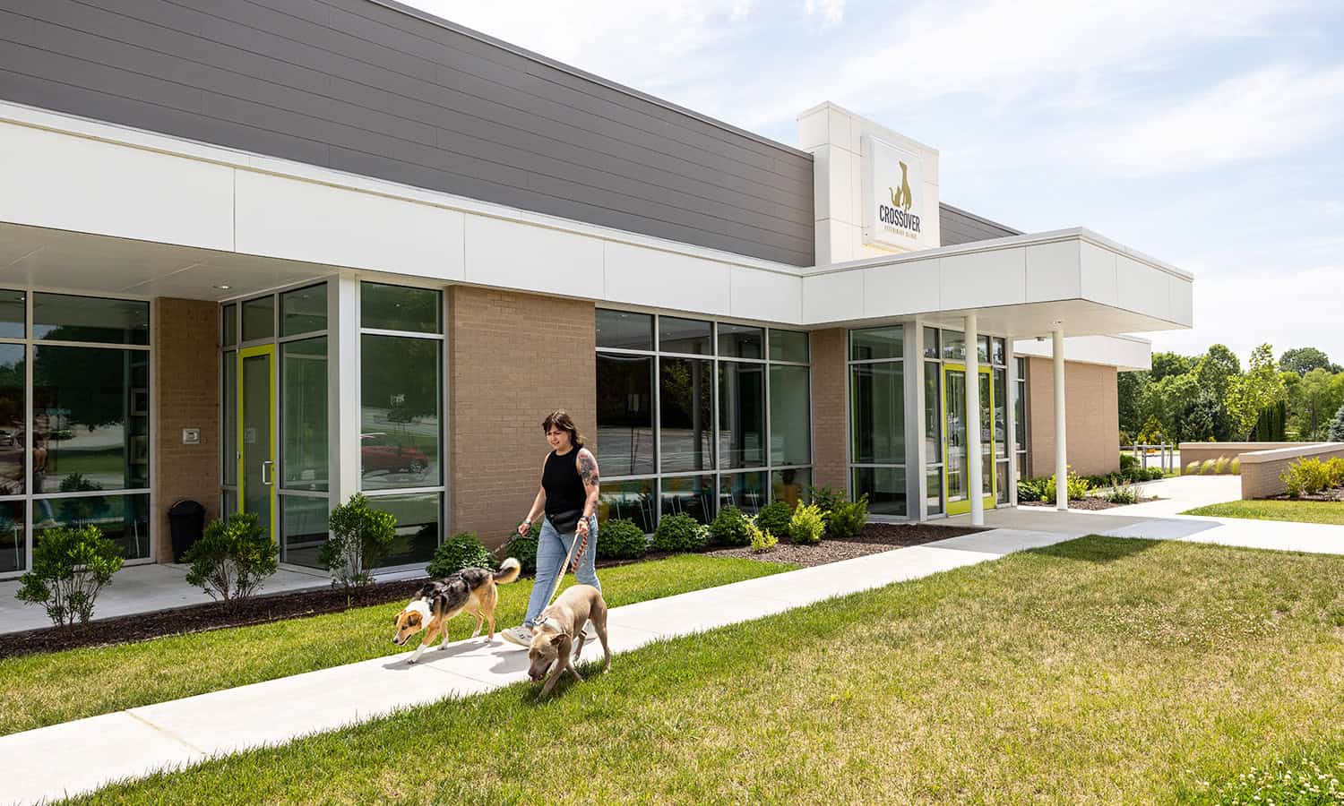 New Year, New Pet Health Resolutions: Tips for a Healthy Start