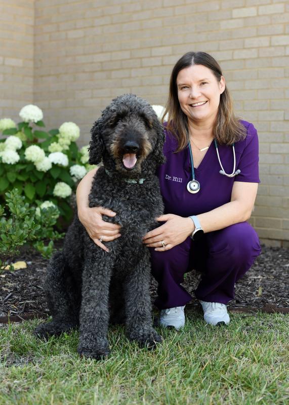 Rachel Hill, DVM Rachel Hill, DVM