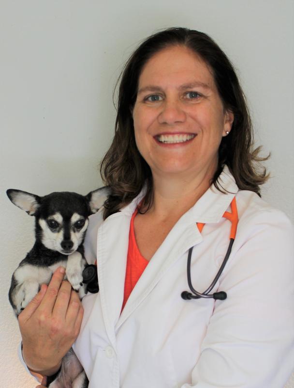 Beth Stropes, DVM Beth Stropes, DVM